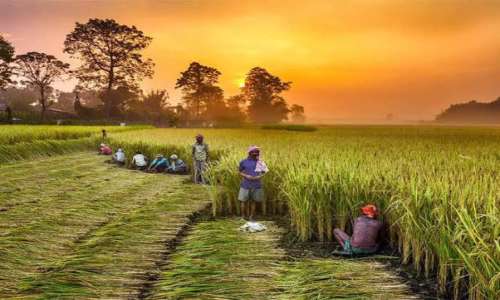 किसान की दयनीयता.. क्या व्यवस्था की कमी है